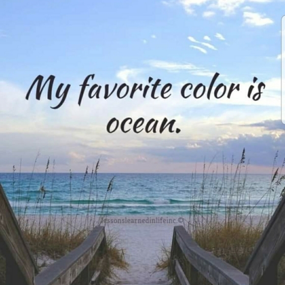 Meet your Posher, Judy - Picture 8 of 10